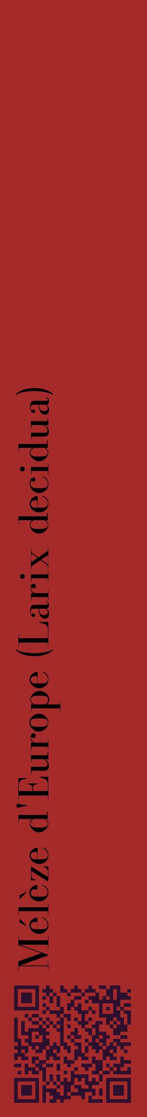 Étiquette de : Larix decidua - format c - style noire33_basiquebod avec qrcode et comestibilité
