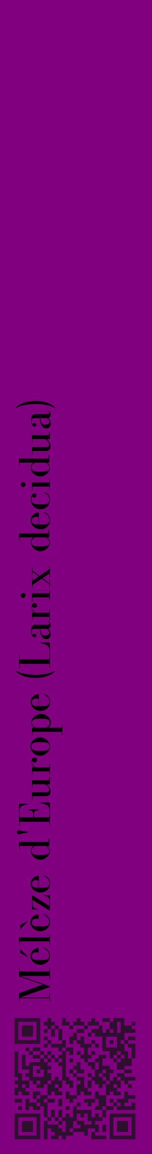 Étiquette de : Larix decidua - format c - style noire46_basiquebod avec qrcode et comestibilité