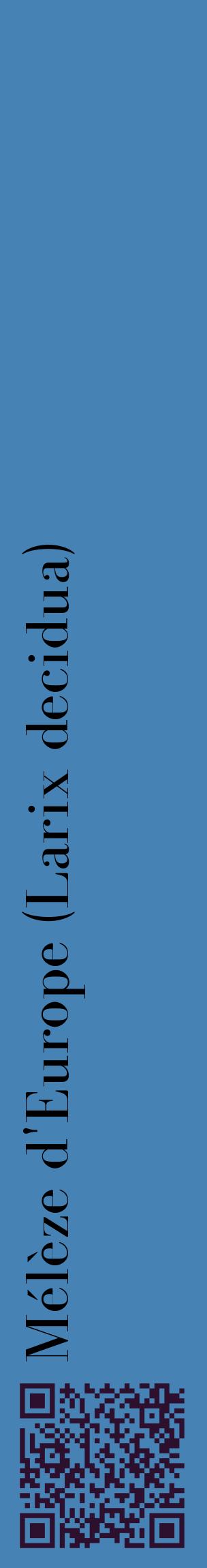 Étiquette de : Larix decidua - format c - style noire5_basiquebod avec qrcode et comestibilité