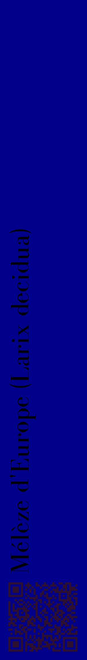Étiquette de : Larix decidua - format c - style noire7_basiquebod avec qrcode et comestibilité