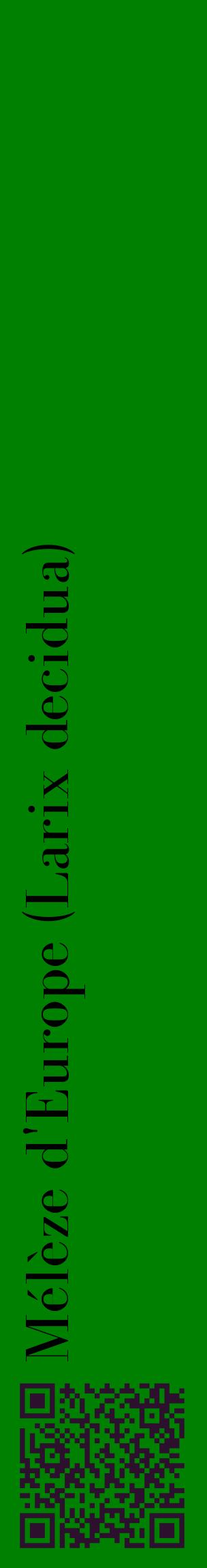 Étiquette de : Larix decidua - format c - style noire9_basiquebod avec qrcode et comestibilité