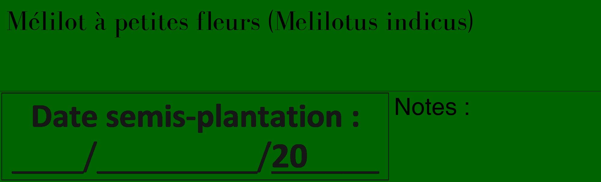 Étiquette de : Melilotus indicus - format c - style noire8_basique_basiquebod avec comestibilité