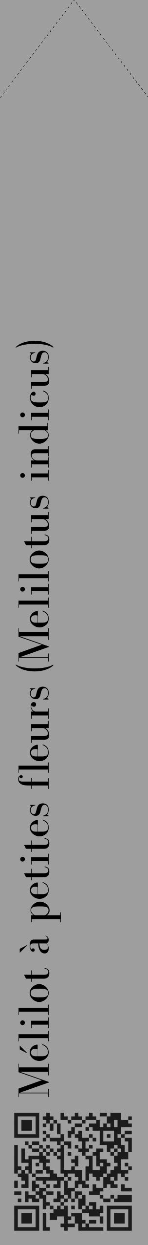 Étiquette de : Melilotus indicus - format c - style noire42_simple_simplebod avec qrcode et comestibilité - position verticale
