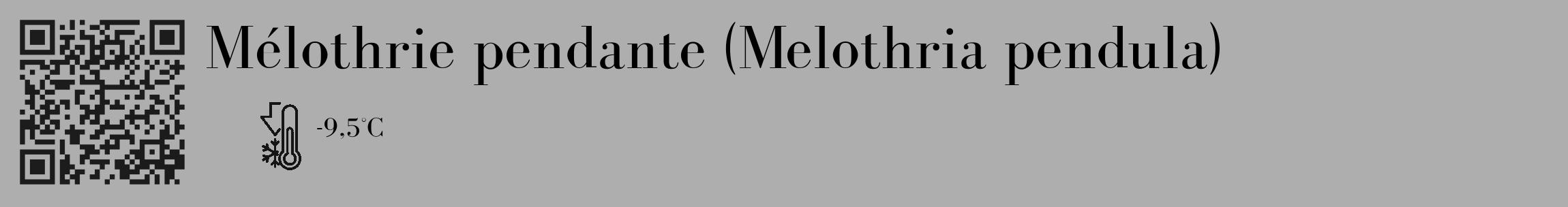 Étiquette de : Melothria pendula - format c - style noire53_basique_basiquebod avec qrcode et comestibilité