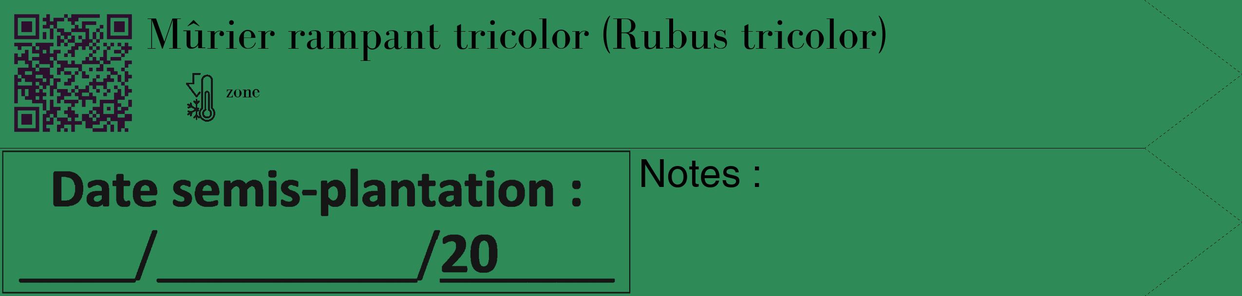 Étiquette de : Rubus tricolor - format c - style noire11_simple_simplebod avec qrcode et comestibilité
