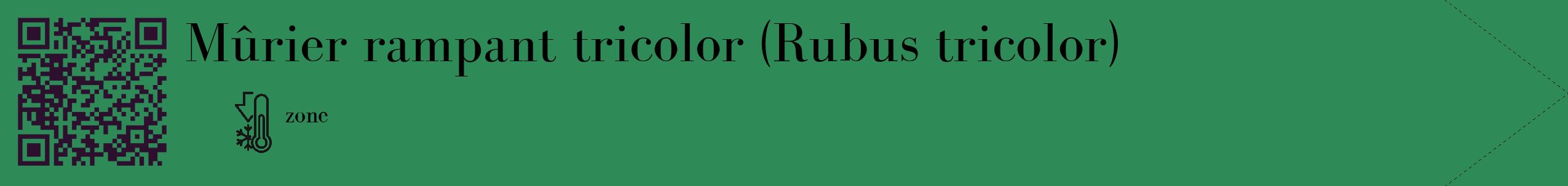 Étiquette de : Rubus tricolor - format c - style noire11_simple_simplebod avec qrcode et comestibilité