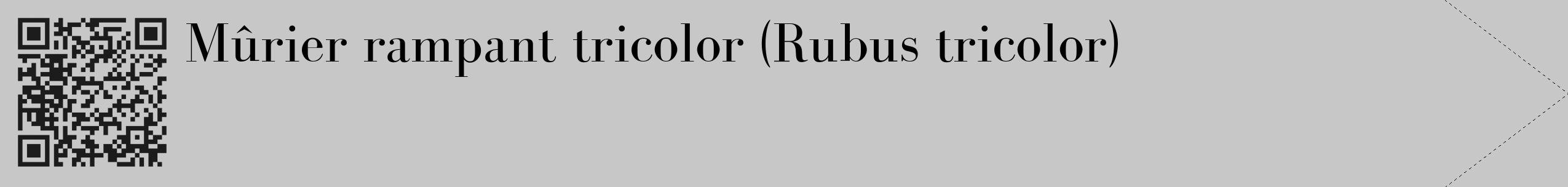 Étiquette de : Rubus tricolor - format c - style noire15_simple_simplebod avec qrcode et comestibilité
