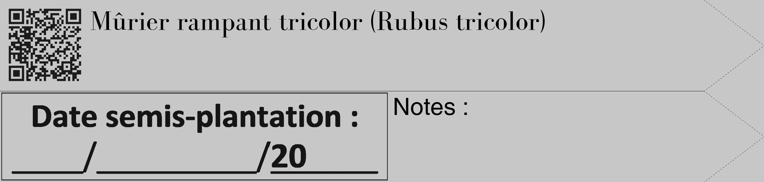 Étiquette de : Rubus tricolor - format c - style noire15_simple_simplebod avec qrcode et comestibilité