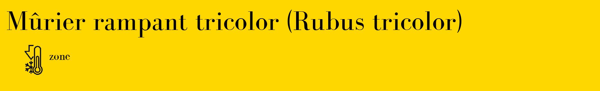 Étiquette de : Rubus tricolor - format c - style noire21_basique_basiquebod avec comestibilité