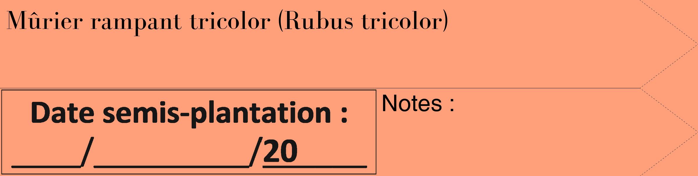 Étiquette de : Rubus tricolor - format c - style noire39_simple_simplebod avec comestibilité
