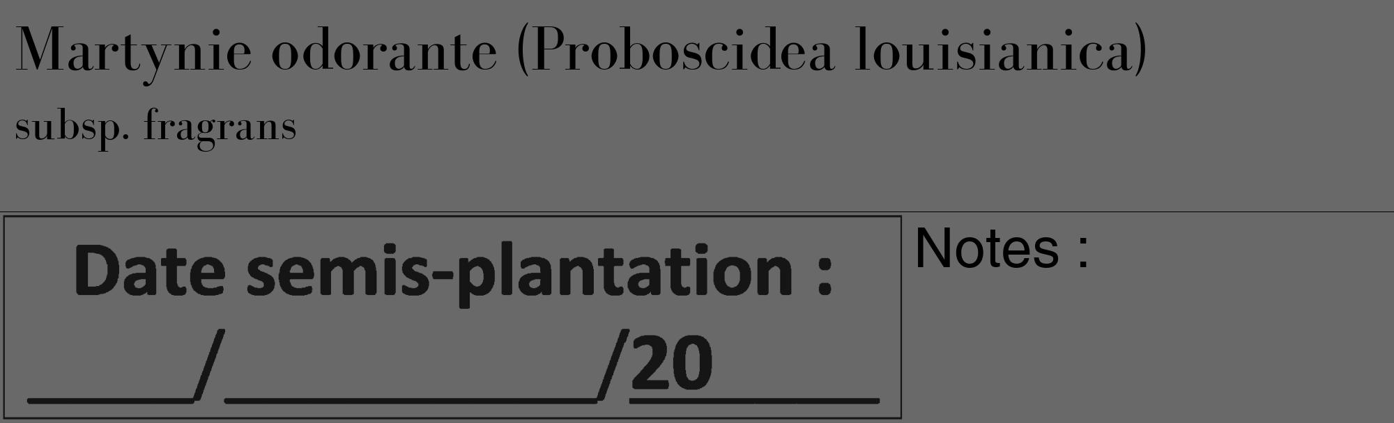 Étiquette de : Proboscidea louisianica subsp. fragrans - format c - style noire11_basique_basiquebod avec comestibilité