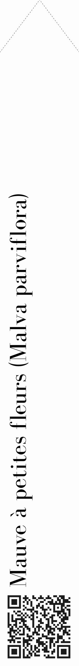 Étiquette de : Malva parviflora - format c - style noire19_simple_simplebod avec qrcode et comestibilité - position verticale