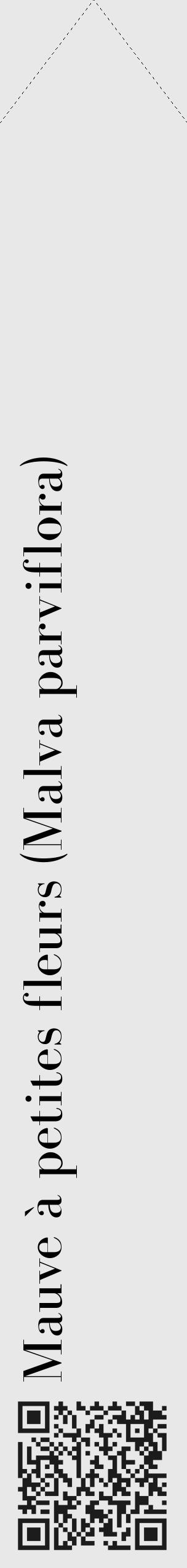 Étiquette de : Malva parviflora - format c - style noire55_simple_simplebod avec qrcode et comestibilité - position verticale