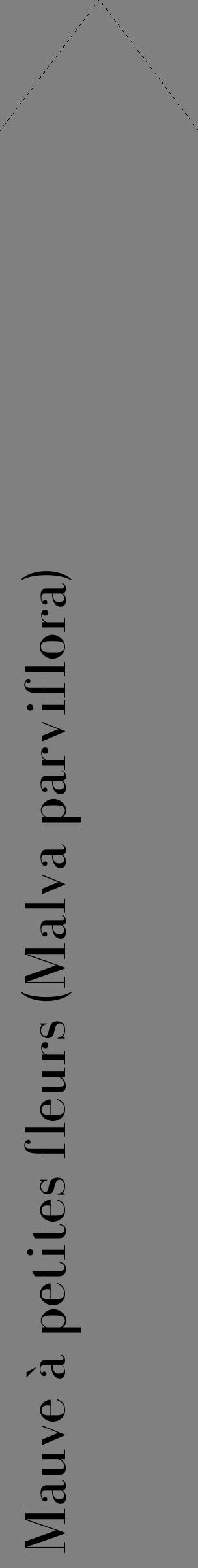 Étiquette de : Malva parviflora - format c - style noire57_simplebod avec comestibilité