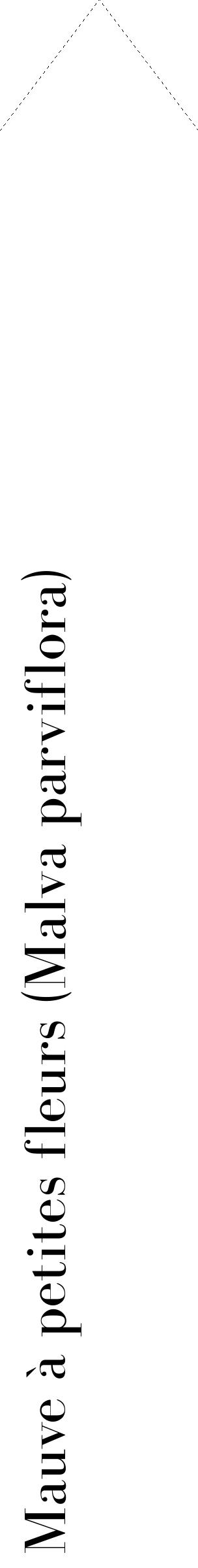 Étiquette de : Malva parviflora - format c - style noire60_simplebod avec comestibilité