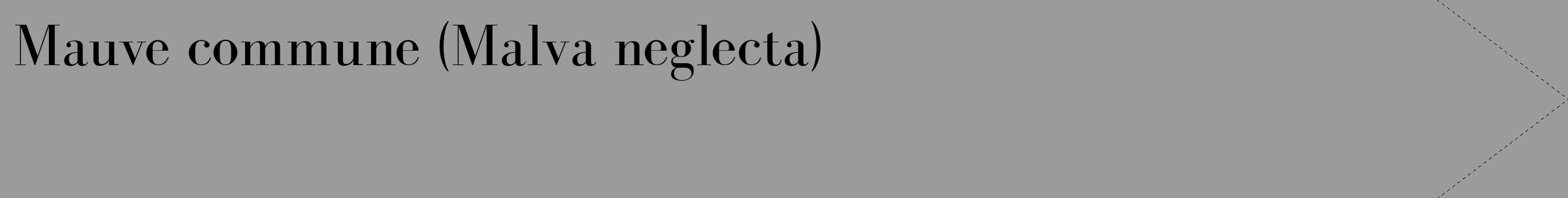 Étiquette de : Malva neglecta - format c - style noire52_simple_simplebod avec comestibilité