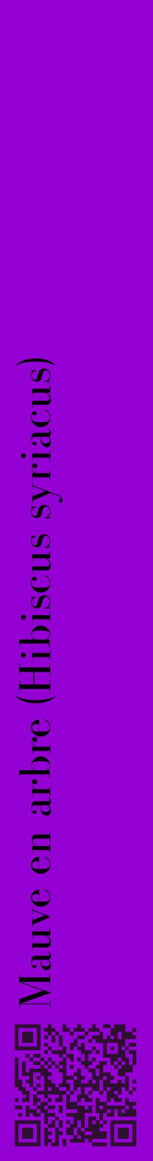 Étiquette de : Hibiscus syriacus - format c - style noire48_basiquebod avec qrcode et comestibilité