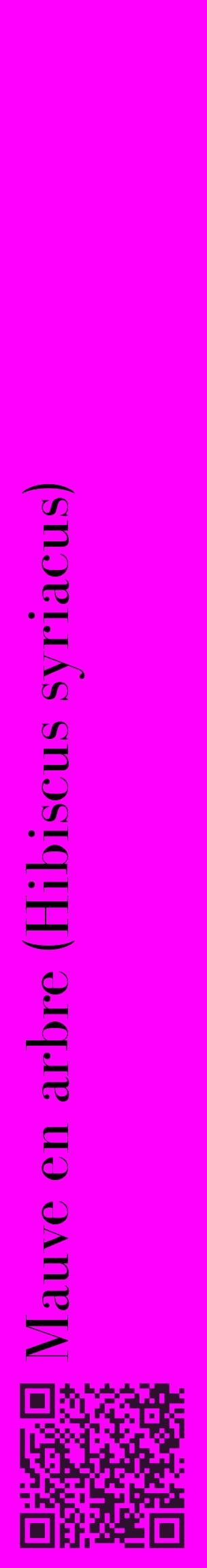 Étiquette de : Hibiscus syriacus - format c - style noire51_basiquebod avec qrcode et comestibilité