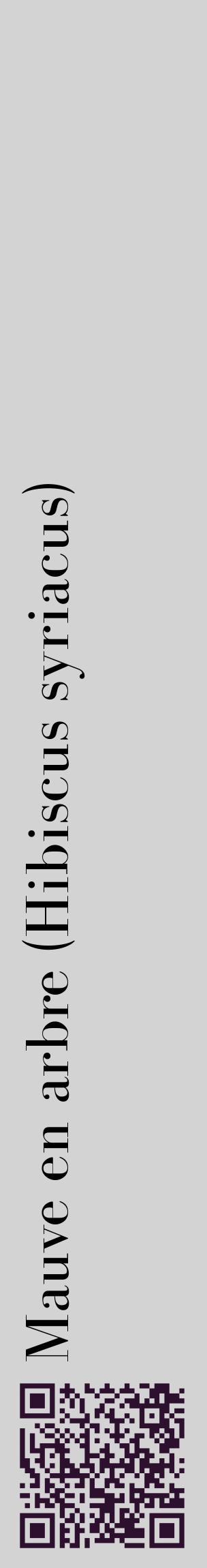 Étiquette de : Hibiscus syriacus - format c - style noire56_basiquebod avec qrcode et comestibilité
