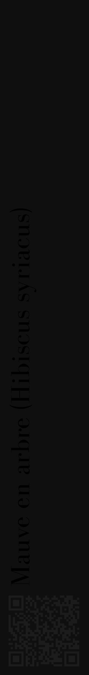 Étiquette de : Hibiscus syriacus - format c - style noire7_basique_basiquebod avec qrcode et comestibilité - position verticale
