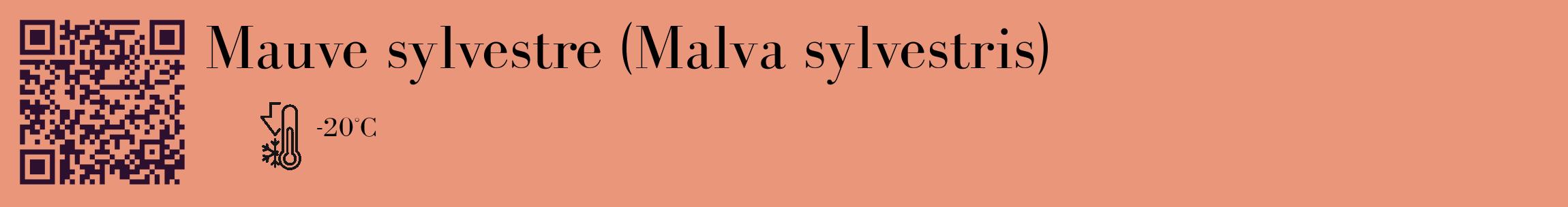 Étiquette de : Malva sylvestris - format c - style noire37_basique_basiquebod avec qrcode et comestibilité