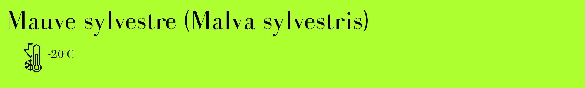 Étiquette de : Malva sylvestris - format c - style noire17_basique_basiquebod avec comestibilité