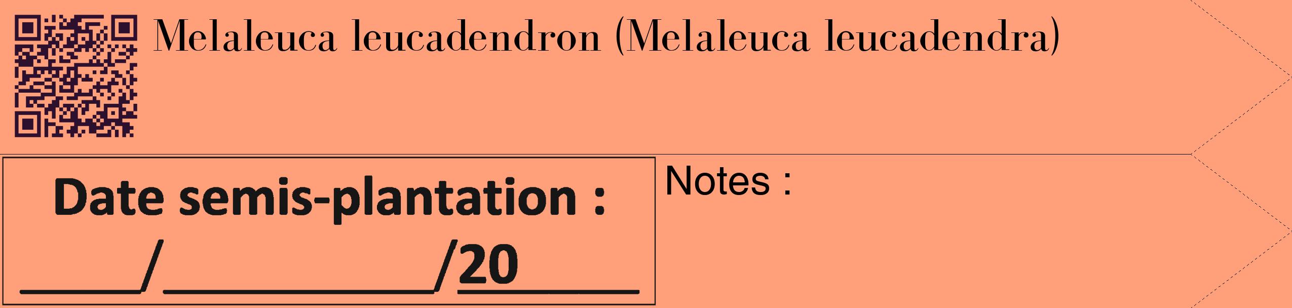 Étiquette de : Melaleuca leucadendra - format c - style noire39_simple_simplebod avec qrcode et comestibilité