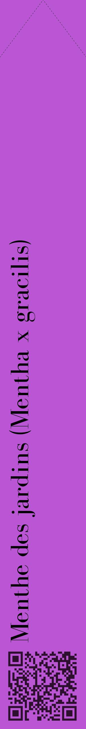 Étiquette de : Mentha x gracilis - format c - style noire50_simplebod avec qrcode et comestibilité