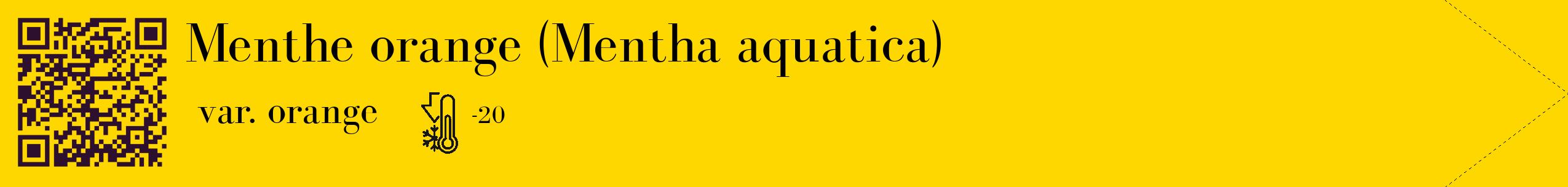 Étiquette de : Mentha aquatica var. orange - format c - style noire21_simple_simplebod avec qrcode et comestibilité