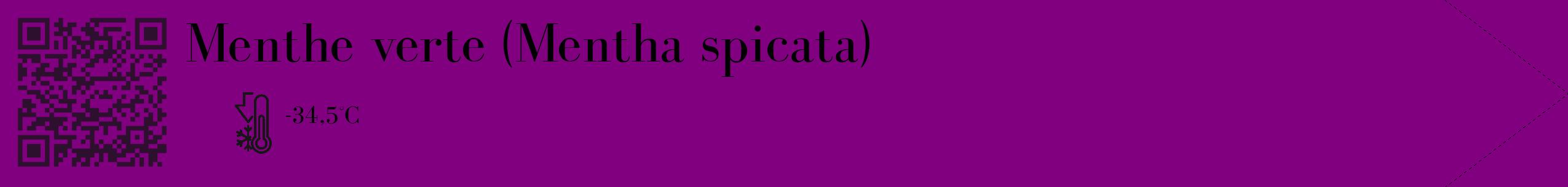 Étiquette de : Mentha spicata - format c - style noire46_simple_simplebod avec qrcode et comestibilité