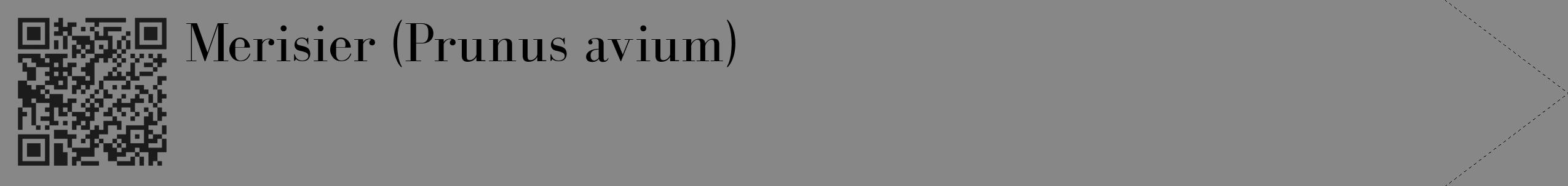 Étiquette de : Prunus avium - format c - style noire12_simple_simplebod avec qrcode et comestibilité