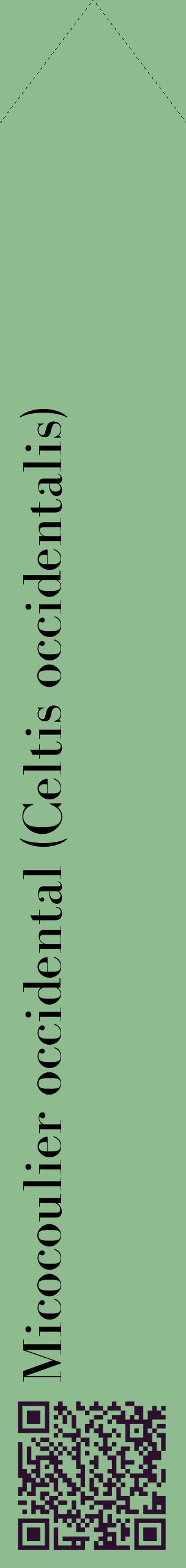 Étiquette de : Celtis occidentalis - format c - style noire13_simplebod avec qrcode et comestibilité