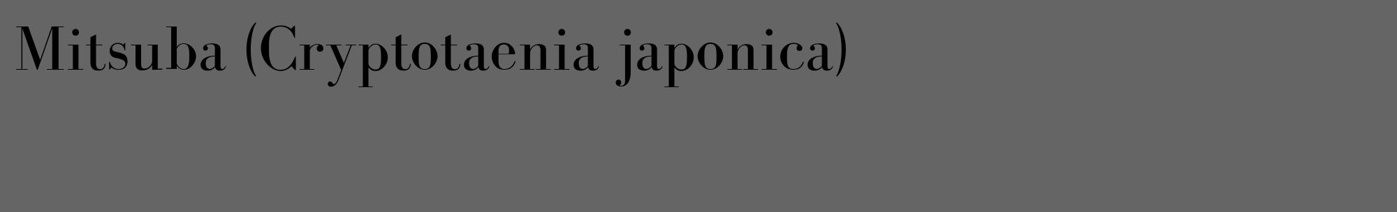 Étiquette de : Cryptotaenia japonica - format c - style noire32_basique_basiquebod avec comestibilité