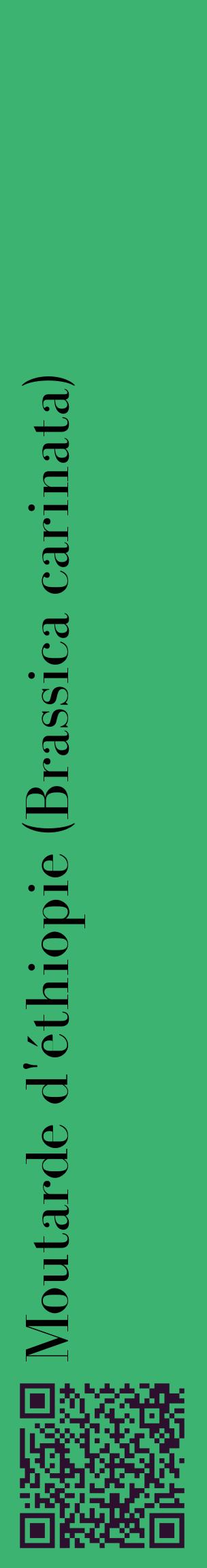 Étiquette de : Brassica carinata - format c - style noire12_basiquebod avec qrcode et comestibilité