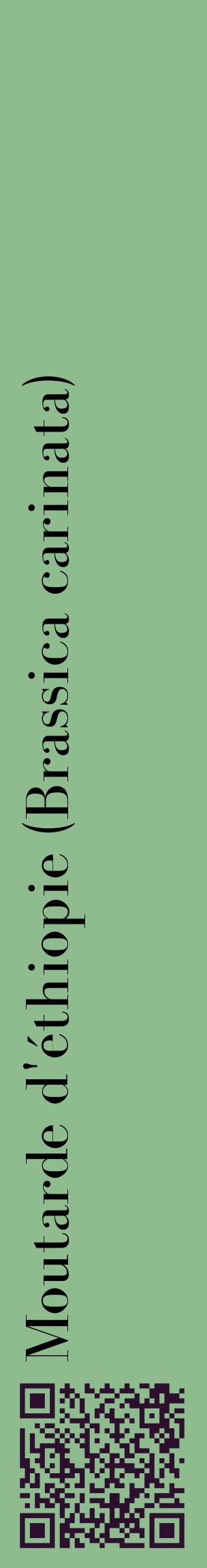 Étiquette de : Brassica carinata - format c - style noire13_basiquebod avec qrcode et comestibilité