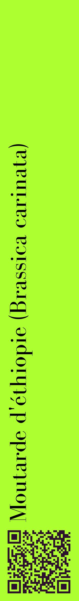 Étiquette de : Brassica carinata - format c - style noire17_basiquebod avec qrcode et comestibilité