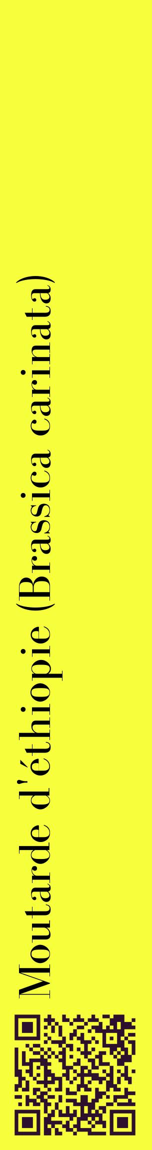 Étiquette de : Brassica carinata - format c - style noire18_basiquebod avec qrcode et comestibilité