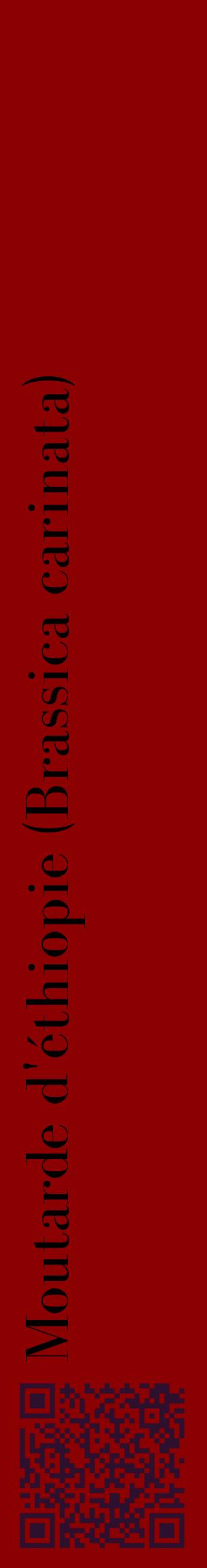 Étiquette de : Brassica carinata - format c - style noire34_basiquebod avec qrcode et comestibilité