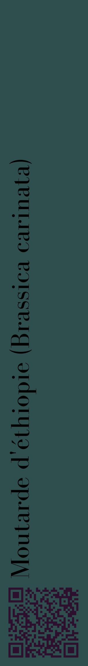 Étiquette de : Brassica carinata - format c - style noire58_basiquebod avec qrcode et comestibilité