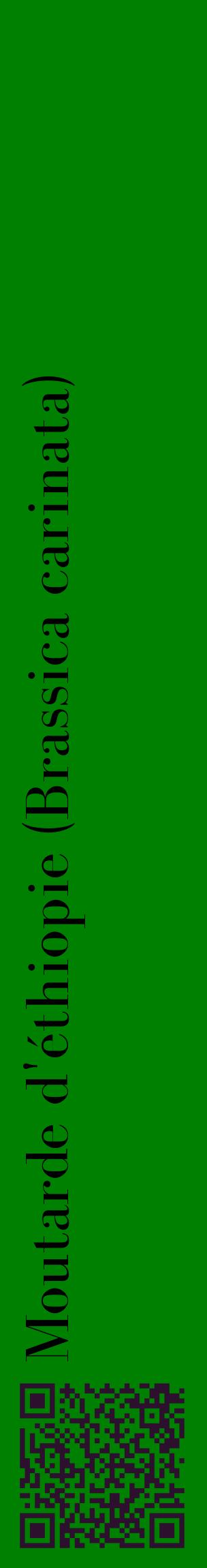 Étiquette de : Brassica carinata - format c - style noire9_basiquebod avec qrcode et comestibilité