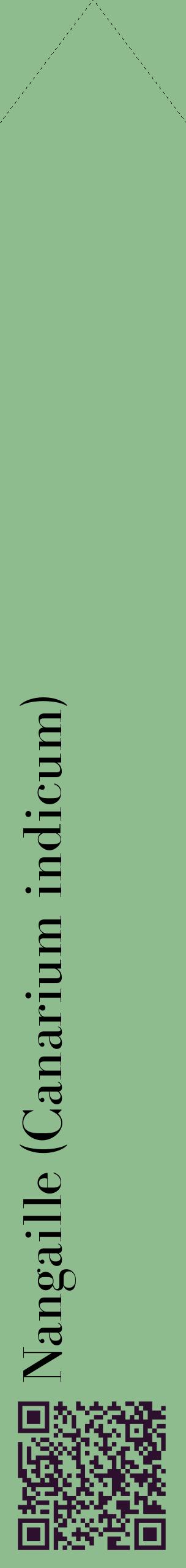 Étiquette de : Canarium indicum - format c - style noire13_simplebod avec qrcode et comestibilité