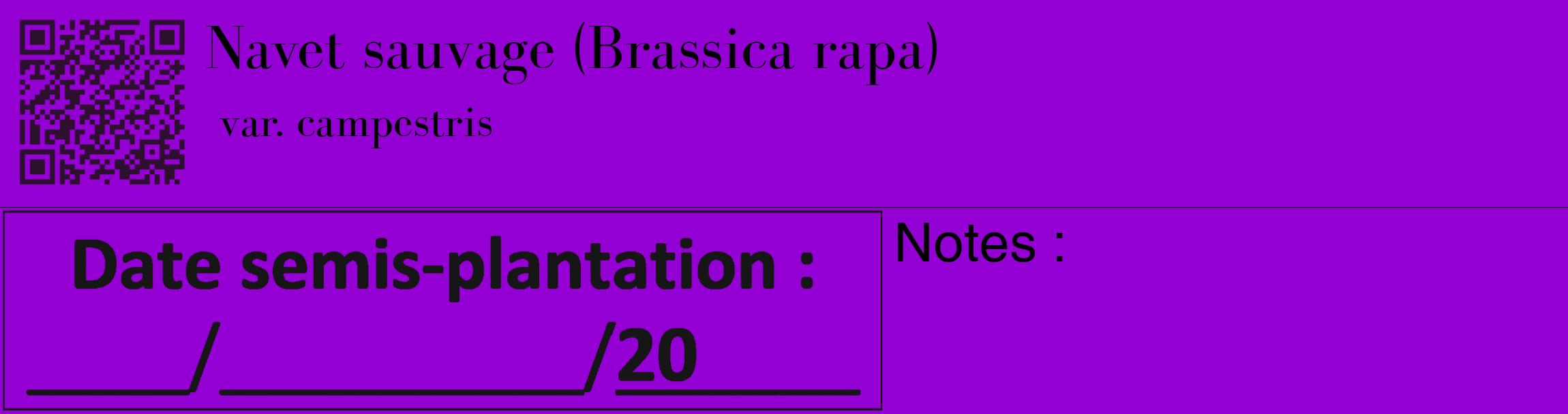 Étiquette de : Brassica rapa var. campestris - format c - style noire48_basique_basiquebod avec qrcode et comestibilité