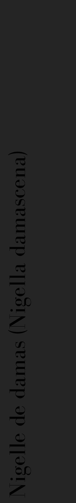 Étiquette de : Nigella damascena - format c - style noire47_basique_basiquebod avec comestibilité - position verticale