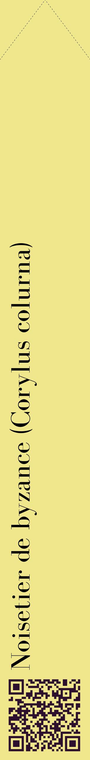 Étiquette de : Corylus colurna - format c - style noire20_simplebod avec qrcode et comestibilité