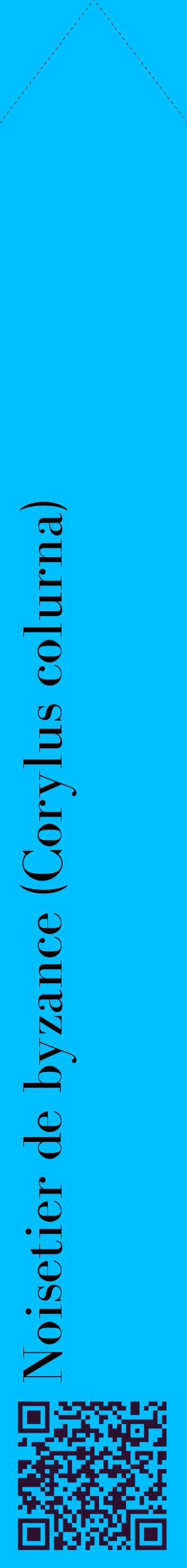 Étiquette de : Corylus colurna - format c - style noire2_simplebod avec qrcode et comestibilité