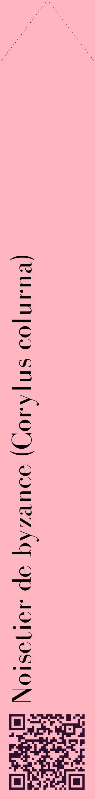 Étiquette de : Corylus colurna - format c - style noire41_simplebod avec qrcode et comestibilité