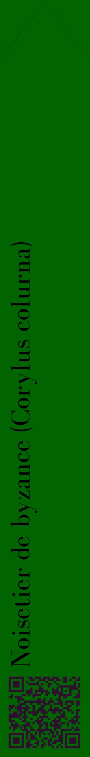 Étiquette de : Corylus colurna - format c - style noire8_simplebod avec qrcode et comestibilité
