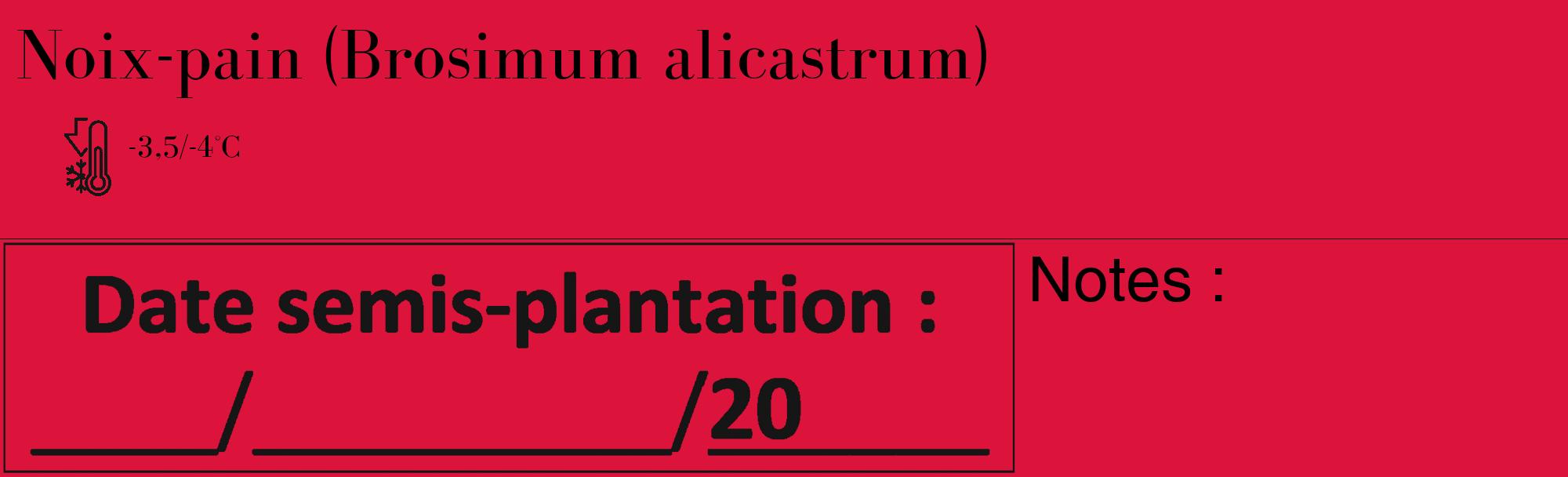 Étiquette de : Brosimum alicastrum - format c - style noire36_basique_basiquebod avec comestibilité