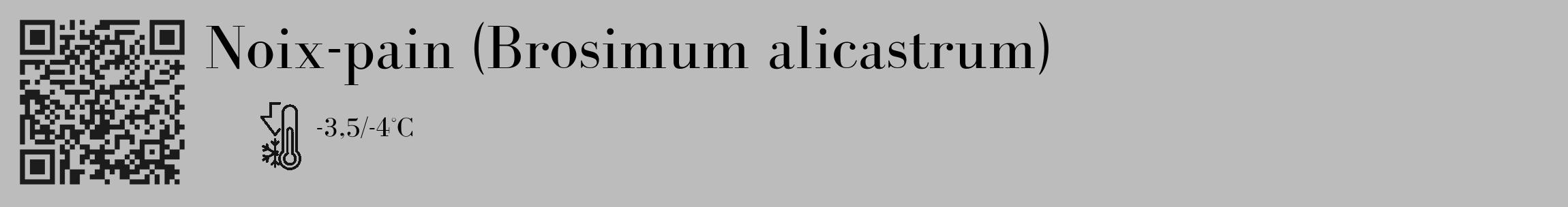 Étiquette de : Brosimum alicastrum - format c - style noire1_basique_basiquebod avec qrcode et comestibilité