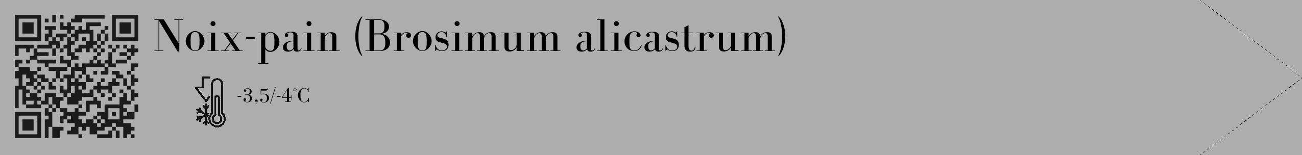 Étiquette de : Brosimum alicastrum - format c - style noire22_simple_simplebod avec qrcode et comestibilité